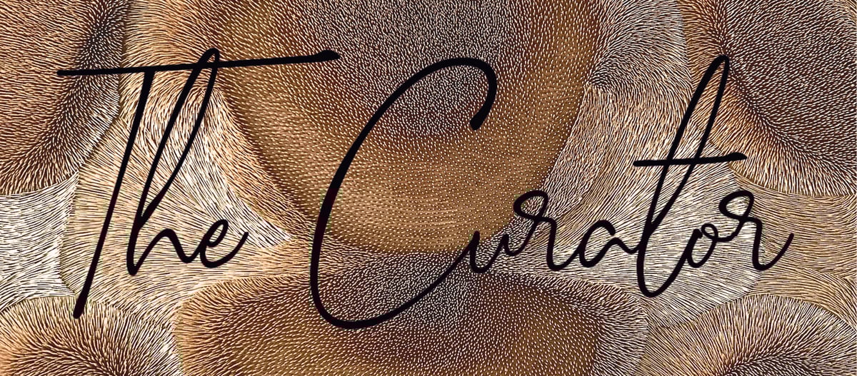 Sept Inspo Linkedin imagery (1)